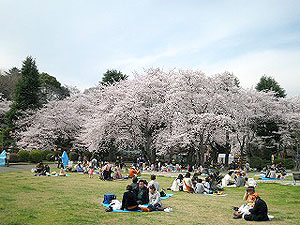 千葉県市川市の街情報